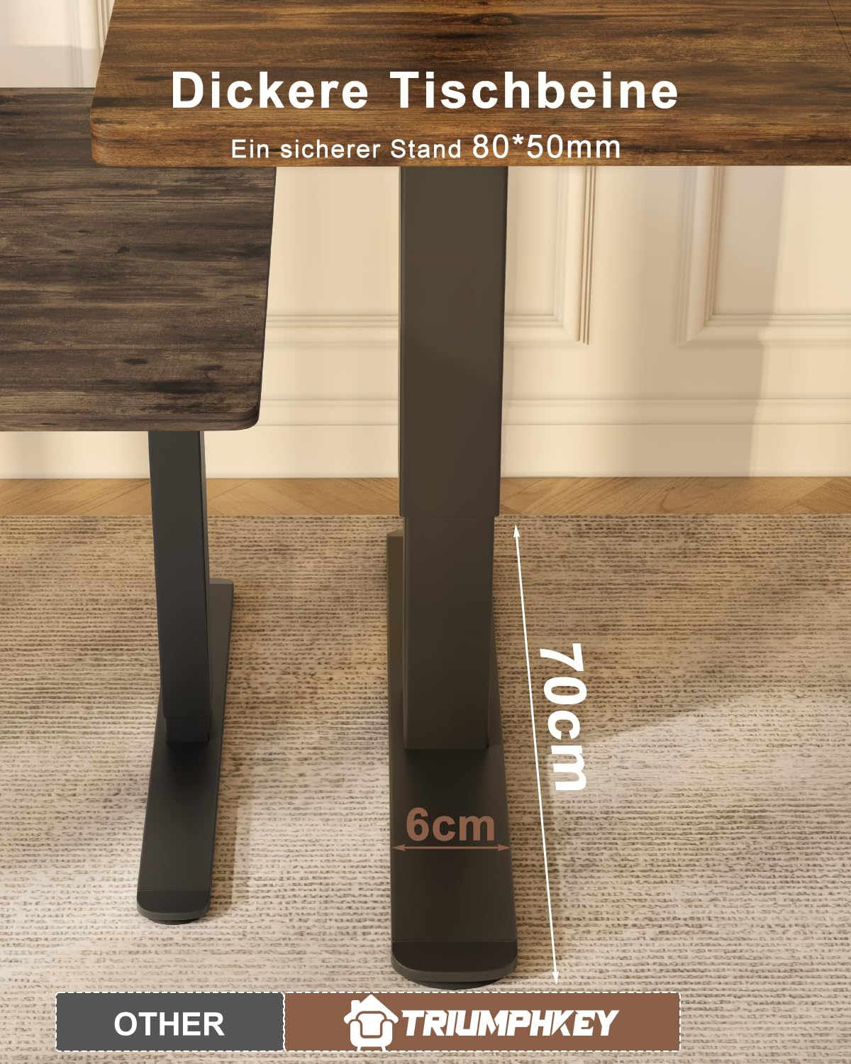 TRIUMPHKEY Höhenverstellbarer Schreibtisch 160x80 mit USB Ladeanschluss, 3 Memory-Steuerung groß Schreibtisch Höhenverstellbarer Anti-Kollision Computertisch Höhenverstellbarer Tisch 8
