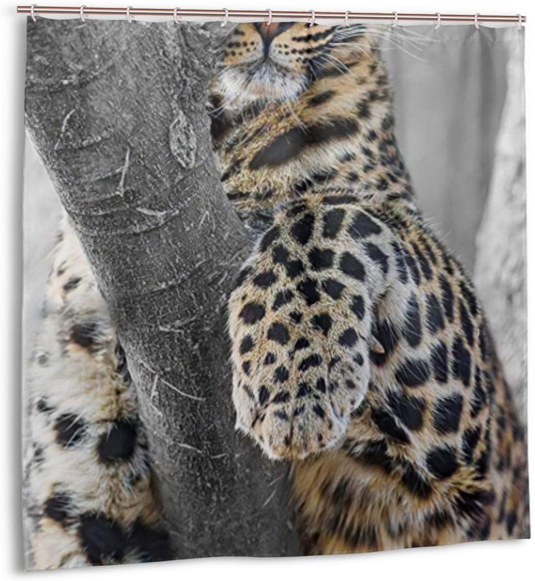 Airmark Shower Curtain for Bathroom Decor Curtains Set,Ceylon Leopard,Big Spotted Cat, Watching On Treetop Fabric Bath Curtains with Hooks 60x72in