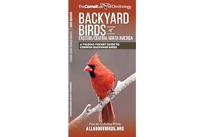 Backyard Birds of Eastern/Central North America
