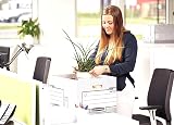 BANKERS BOX 10 Large System Storage Box with Lids Grey W38 x H28.7 x D43cm view 2