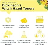 Dickinson's Enhanced Witch Hazel Alcohol Free Hydrating Toner 16 oz view 6