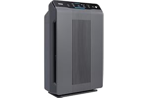 WINIX 5300-2 Purificateur d'air pour maison grande pièce jusqu'à 1740 m² en 1 heure avec moniteur de qualité de l'air, HEPA v