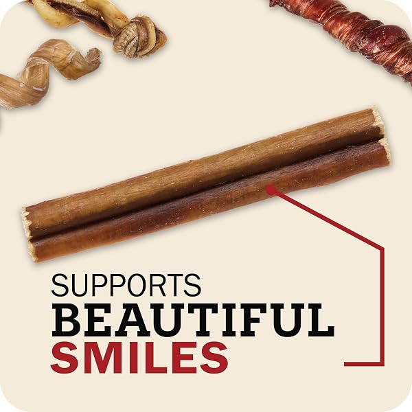 REDBARN PET PRODUCTS ALL NATURAL 5″-8″ BRAIDED BULLY STICKS FOR SMALL & LARGE DOGS – HEALTHY LONG LASTING BEEF CHEWS VARIETY PARTY PACK – SINGLE INGREDIENT LOW ODOR RAWHIDE FREE – 8 OZ BAG