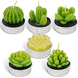 LA BELLEFÉE Tealight Candles Gift Set for Christmas Decoration, Cactus Terrarium Candle Delicate Succulent Handmade Plants Cu