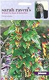 Johnsons Seed Sarah Raven's Mina lobata