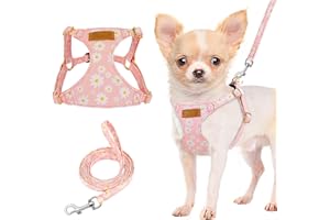 Lukovee Puppy Harness and Leash Set, No Pull Lightweight Pet Harness Vest for Puppy Small and Medium Size Dog, Adjustable Sof