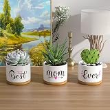 TuDou Best Mum Ever Ceramic Succulent Pot Gift Boxed view 8