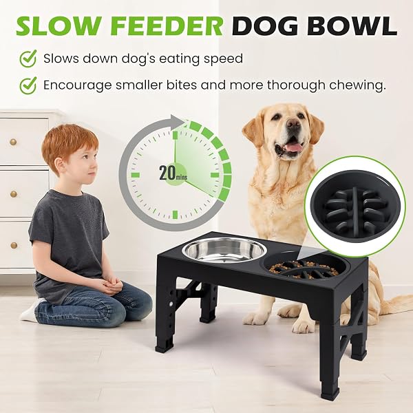 ELEVATED DOG BOWLS 5 ADJUSTABLE HEIGHT, 2 STAINLESS STEEL BOWLS, 1 SLOW FEEDER