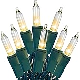 HISHINY Christmas Lights 100 Count Clear Christmas Tree Lights String with Green Wire for Outdoor Indoor Christmas Decorations Wedding Decorations Valentines Day Decor,UL Certified (21feet)