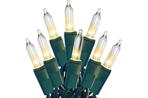 HISHINY Christmas Lights 100 Count Clear Christmas Tree Lights String with Green Wire for Outdoor Indoor Christmas Decorations Wedding Decorations Valentines Day Decor,UL Certified (21feet)