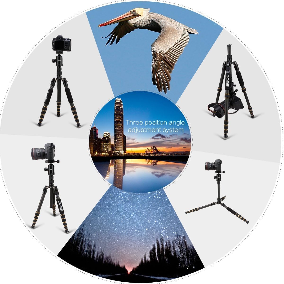 ZOMEI Z669C Camera Tripod - Image 3