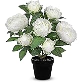 Hollyone White Fake Peonies Artificial Flowers in Pot 16.9" Small Peonies Tree Indoor Outdoor Faux Plants & Flowers Peony Silk Flowers Potted Plant Artificial Peony Floral Arrangement Desk Home Decor