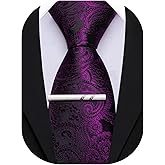 Barry.Wang Paisley Tie for Men Silk Woven Necktie and Tie Clip Set Wedding Party Business Formal