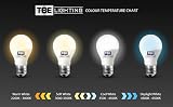 TBE Lighting 16W 4-Pin CFL DD Lamp GR10q 230V Long Life 3500K view 6
