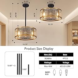 Zhizenl Ceiling Fan with Lights, 6 Speeds