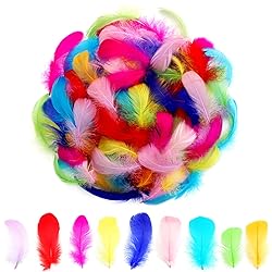 300pcs Colorful Feathers 2-3 Inches Bulk Feathers