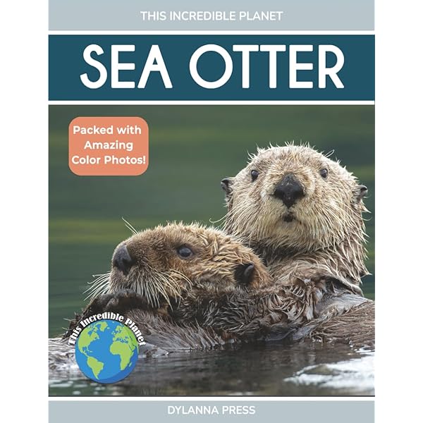 Weird But True! Ocean: 300 Fantastic Facts From the Deep Blue Sea
