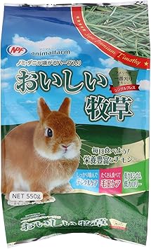 the natural pet store