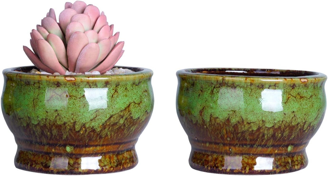 ARTKETTY Succulent Plant Pots, Ceramic Cactus Plant Pots with Drainage Pack of 5 - Image 5