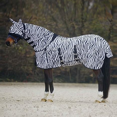 Best On Horse Sheet