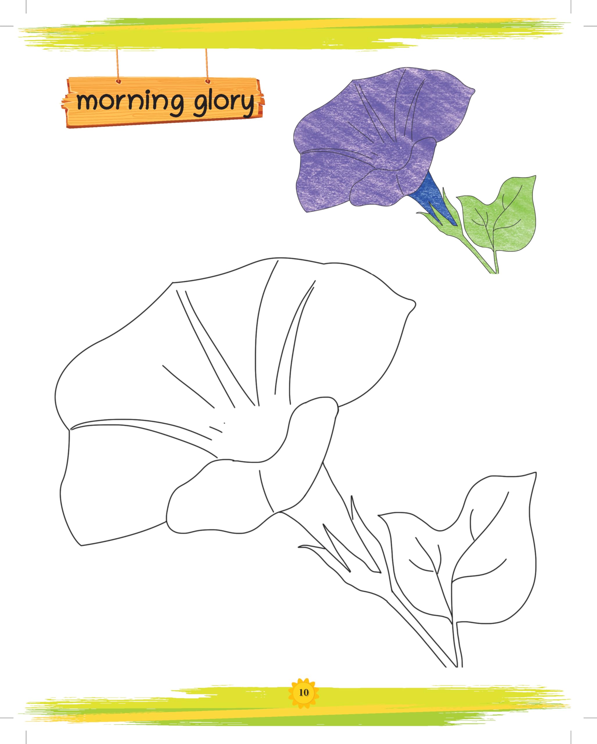 Oswaal Lil Legends Book Of Copy Colouring Flowers for Kids | Fun Activity Book to Boost Focus, Vocabulary and Creativity | For Nursery/LKG/UKG | Age 3+ 3