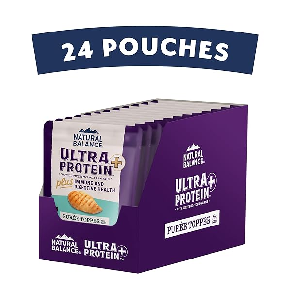 NATURAL BALANCE ULTRA PROTEIN PLUS WET CAT FOOD, IMMUNE & DIGESTIVE HEALTH REAL CHICKEN WITH PUMPKIN PUREE TOPPER WITH CHICKEN LIVER & CHICKEN HEART, HIGH PROTEIN CAT FOOD – 2.4 OZ.