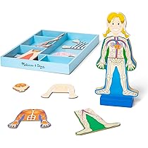 Amazon.com: Melissa & Doug Magnetic Human Body Anatomy Play Set ...