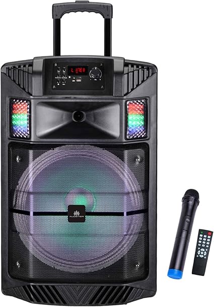 professional portable speaker