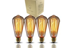 GOENDR E26 40W Edison Bulbs, ST64 Vintage Incandescent Light Bulbs, 2700K Warm Dimmable, Squirrel Cage Filament Bulb for Table Lamp Home Antique Decorative, 4 Pack