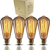 GOENDR E26 40W Edison Bulbs, ST64 2700K Warm