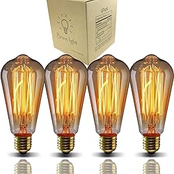 GOENDR E26 40W Edison Bulbs, ST64 2700K Warm