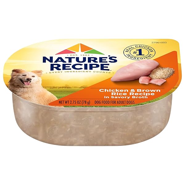NATURE’S RECIPE WET DOG FOOD, CHICKEN IN BROTH RECIPE, 2.75 OUNCE CUP (PACK OF 12) PACKAGE MAY VARY