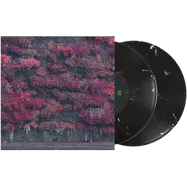 Gena Cide – Waste Uva Cular LP レコード Amazon.com: Skeletá Translucent Grape Vinyl LP Record Album