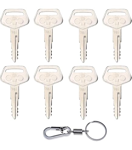 まいきー Briggs & Stratton 794696 Key Set Replaces 695756 : Amazon.ca