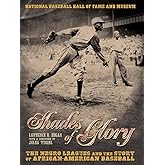 Shades of Glory: The Negro Leagues and the Story of African-American Baseball