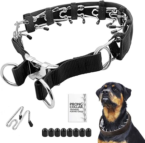 prong collar training video