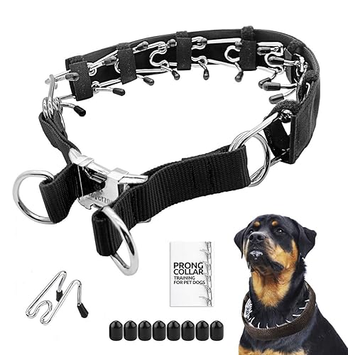 Choke Collar Prong Collars For Dog Training Prong Dog Training