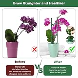 Realure Orchid Sticks 30 cm Pack 15 Adjustable Plant Support Trellis view 3