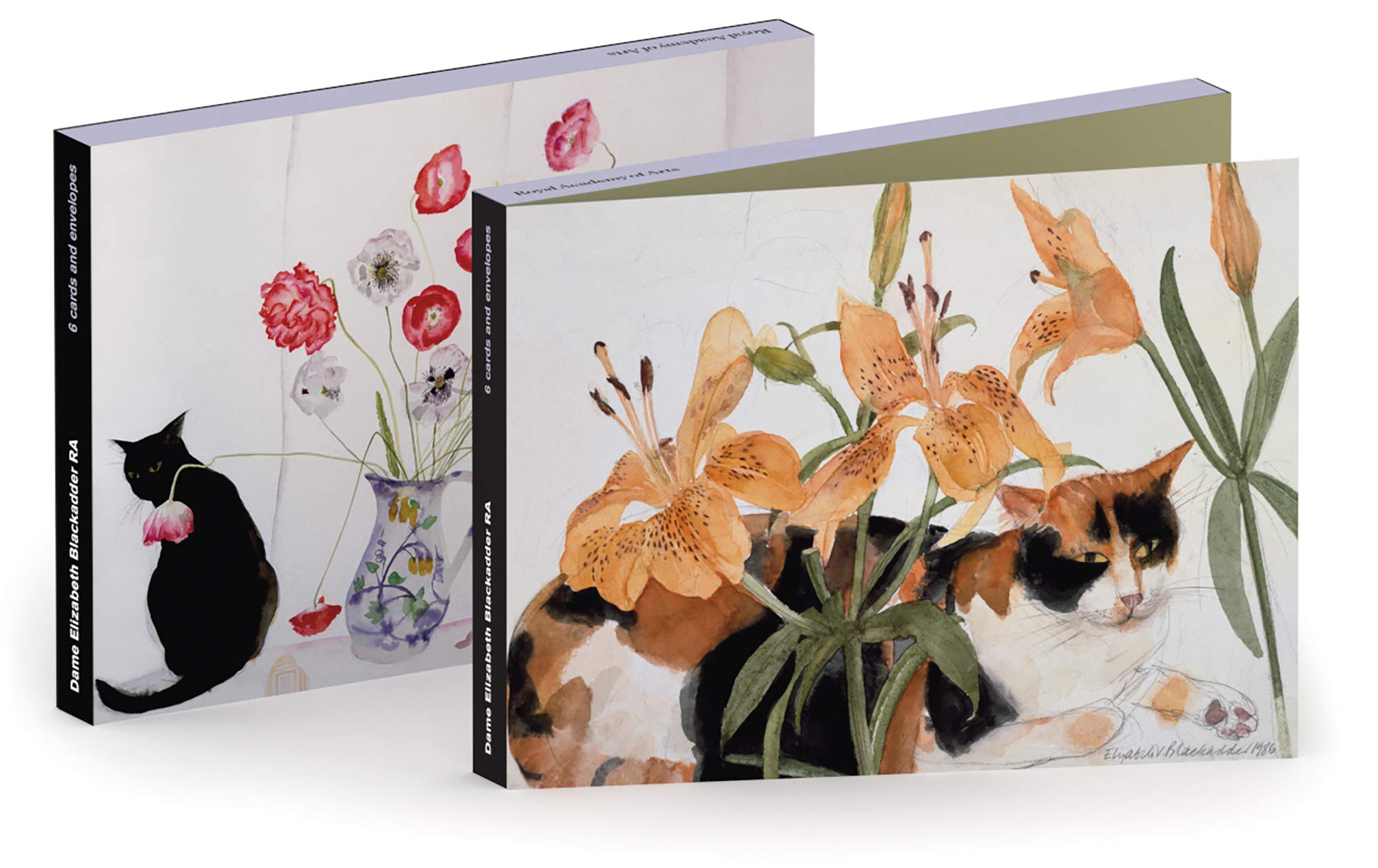 Royal Academy Elizabeth Blackadder Cats and Flowers Set of 6 Art Greeting Cards (17 x 12 cm)