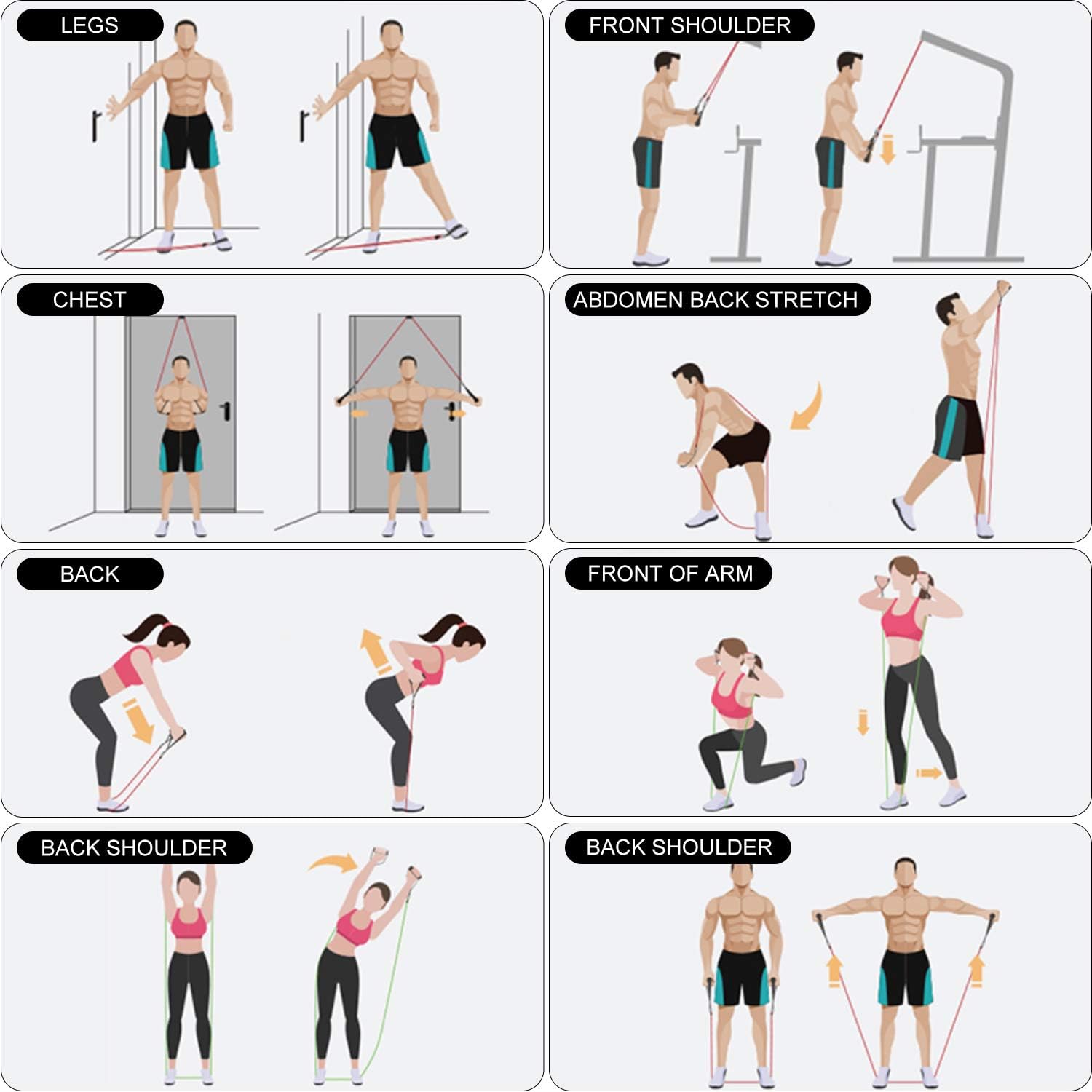 Ensemble Bandes De Résistance Gymproluxe Avec Barre - Résistance Jusqu'à 90,7kg, Barre + Bandes, Accès Appli à Vie, Plus De 100 Exercices, Pour Hommes Et Femmes