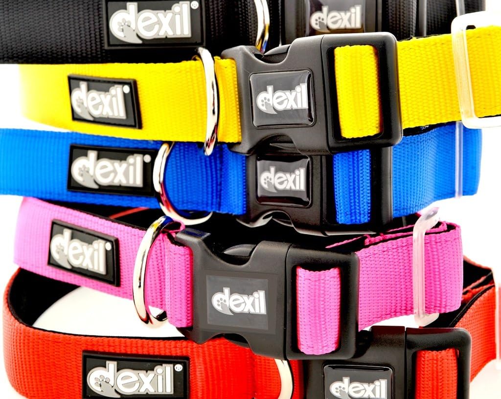 Dexil Elite Range Luxury Neoprene Padded Extra Strong Adjustable Small-Medium Pet Dog Collar (Sunburst Yellow, Small-Medium 25-43cm x 25mm)
