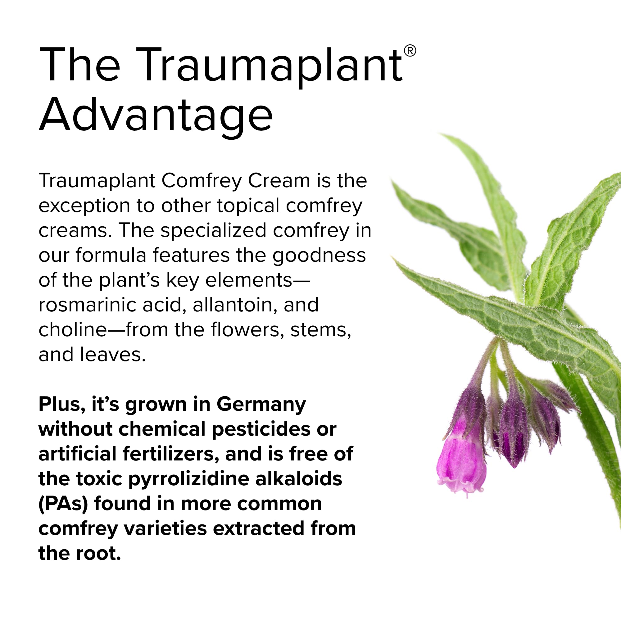 Terry Naturally Traumaplant Comfrey Cream - Cream with Herbs -Travel Size Ointment - 3.53 oz