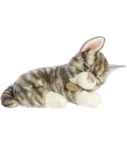 Aurora Miyoni Cat FOR SALE! - UK - View #4