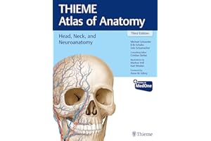 Head, Neck, and Neuroanatomy (THIEME Atlas of Anatomy)