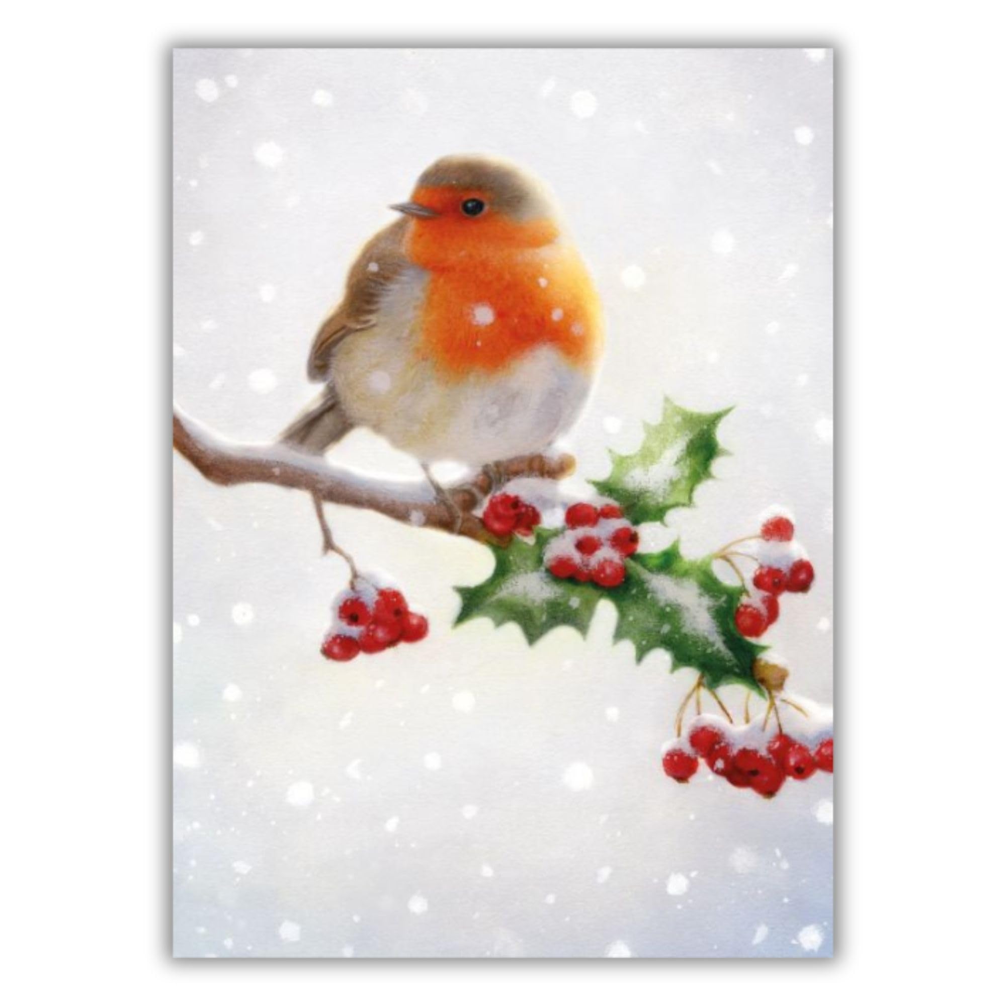 Museums & Galleries Charity Christmas Cards Pack of 8 - Festive Robin & Holly in the Snow - Premium Greeting Cards Multipack with Envelopes - Supporting UK Charities