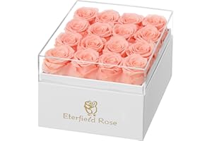 Eterfield Forever Flowers Preserved Flowers for Delivery Prime Real Roses That Last Over a Year Gifts for Her Mothers Day Valentines Day (Square White Box, 16 Champagne Roses)