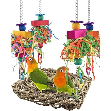 Amazon Best Sellers: Best Bird Swings