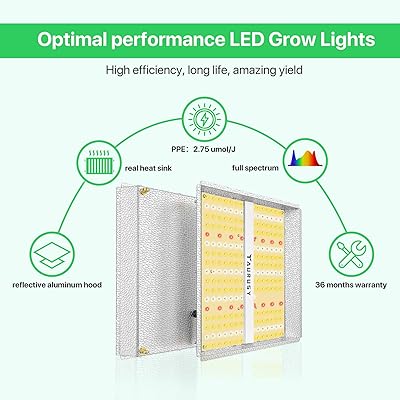 Buy Taurusy Tsl300 Led Grow Lights Full Spectrum Ir Included Sunlike Led Grow Light For Indoor Plants Hydroponic Seedling Veg And Bloom Greenhouse Plant Grow Light With Upgraded Smd Leds 2x2ft Coverage