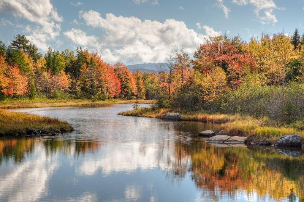 Maine River with Colorful Fall Foliage Photo Photograph Cool Wall Decor Art Print Poster 36x24