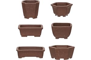Happy Bonsai 6 pc Unglazed Planter Pots Mini Succulent 2" (5 cm) Natural Color